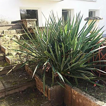 Charmante Ferienwohnung Mit Grossem Garten In City Nahe Ostsee Apartman Bad Schwartau