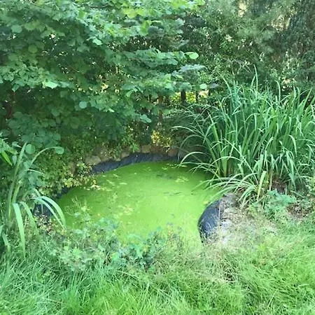 Apartman Charmante Ferienwohnung Mit Grossem Garten In City Nahe Ostsee Bad Schwartau